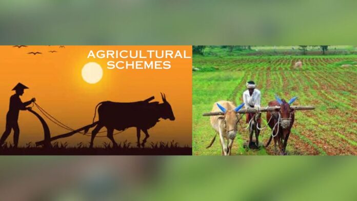 Agricultural Schemes