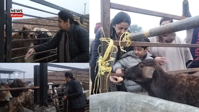 Senu Duggal (4) Senu Duggal (4)