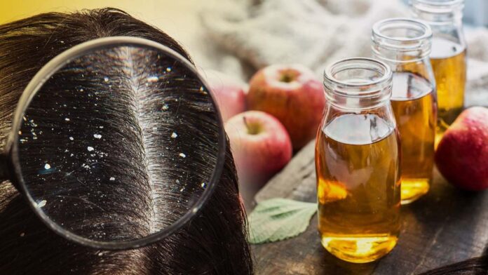 Untitled design - 2024-01-11T215626.335