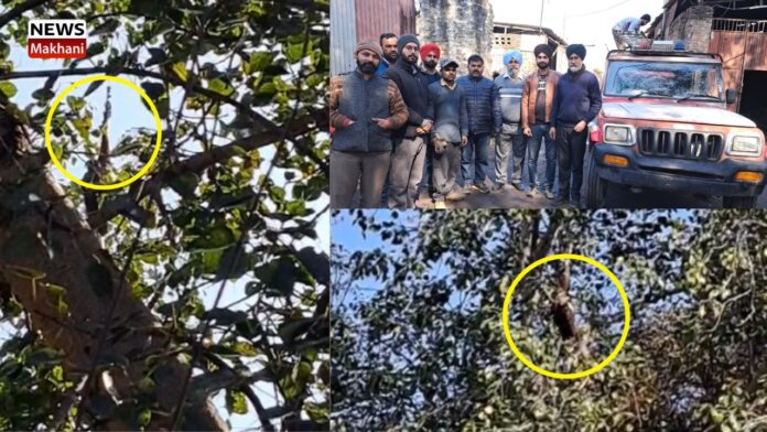 Civil Defense Team Civil Defense Team