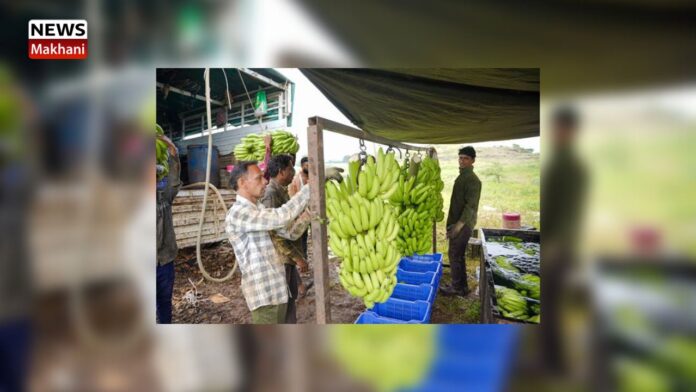 Global Agri-Export Market