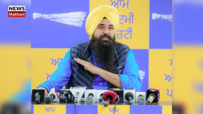 Malvinder Singh Kang(1)