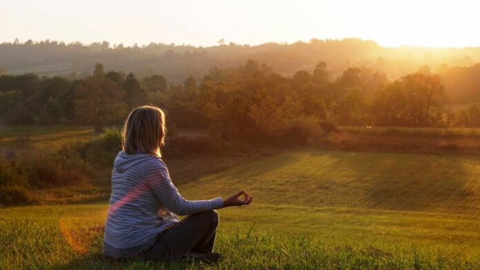 Untitled design - 2024-02-07T131437.500