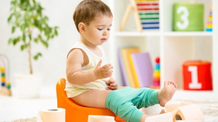 Untitled design - 2024-02-12T162258.799