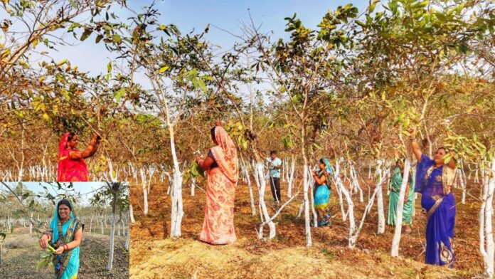 रेशमी धागों