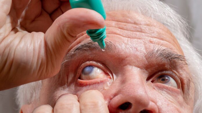 Untitled design - 2024-04-23T130243.400