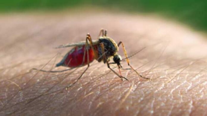 Untitled design - 2024-04-30T114423.164