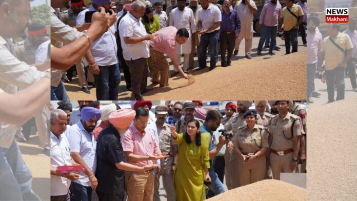 Anurag Verma Visit Grain maket