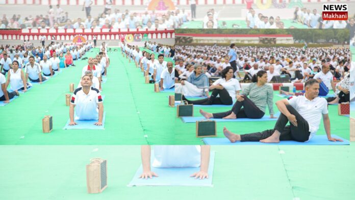 Eight lakh NCC cadets perform yoga