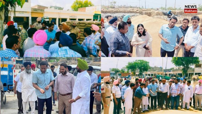 MD MARKFED VISITS MANDIS IN LUDHIANA
