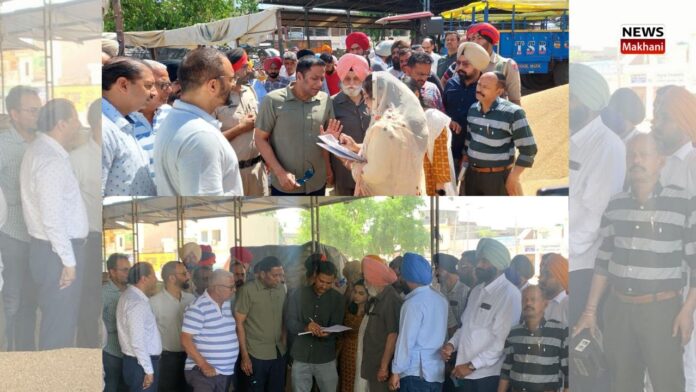 Markfed MD inspects wheat procurement