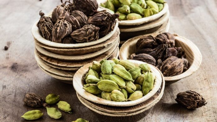 Untitled design - 2024-06-29T205606.444