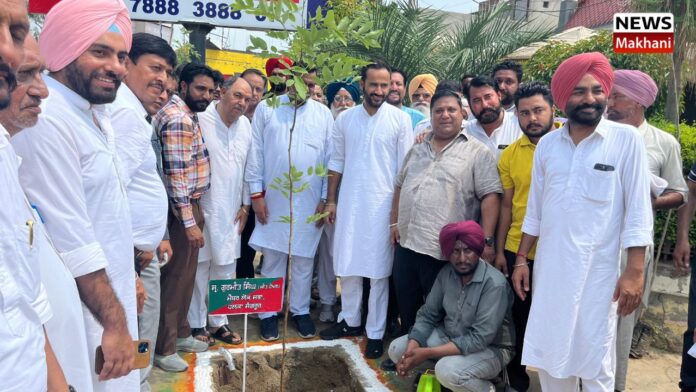 _S. Gurmeet Singh Meet Hair _S. Gurmeet Singh Meet Hair
