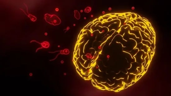 brain_eating_amoeba_1721281287326_1721281304419