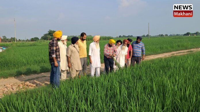 _Dr. Gurbachan Singh _Dr. Gurbachan Singh