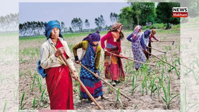 Farmers got short term agriculture loan of more than 6199 crore rupees