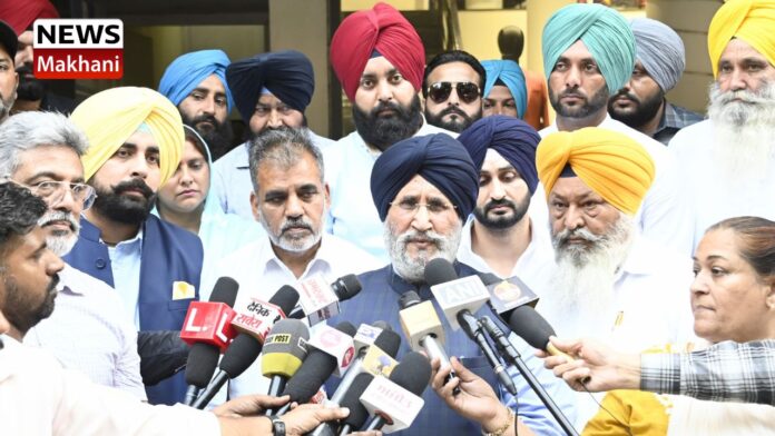 SAD tells SEC panchayat election process vitiated by AAP SAD tells SEC panchayat election process vitiated by AAP