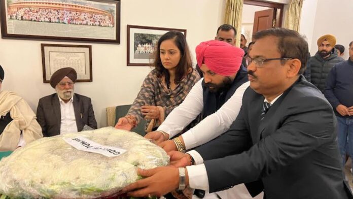 Untitled design (13)