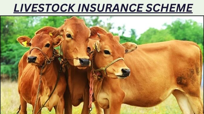 livestock-insurance-scheme-.jpg