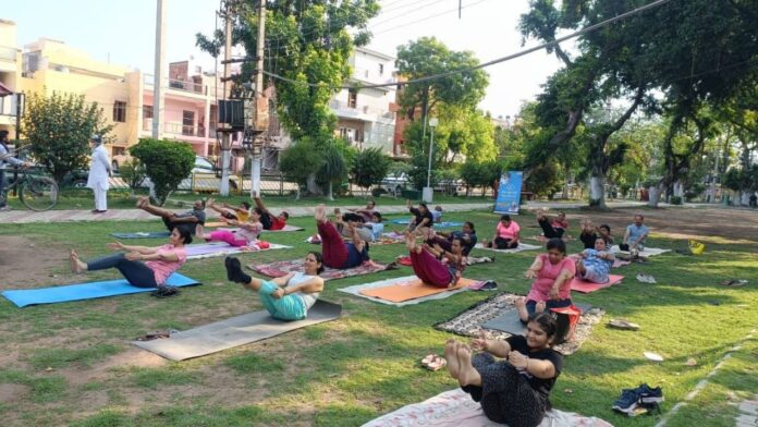 CM-Di-yogshala-6.jpg