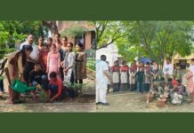 ਵਿਸ਼ਵ ਵਾਤਾਵਰਣ ਦਿਵਸ ਮਨਾਉਂਦਿਆਂ ਜ਼ਿਲ੍ਹਾ ਫਾਜ਼ਿਲਕਾ ਦੇ ਸਮੂਹ ਸਕੂਲਾਂ ਵਿੱਚ ਲਗਾਏ ਜਾ ਰਹੇ ਨੇ ਪੌਦੇ