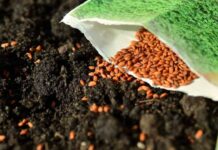 जौं एवं गेहूं के प्रदर्शन प्लांट, बीज वितरण, पौध एवं मृदा संरक्षण प्रबंधन हेतु दिया जाएगा अनुदान