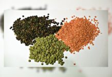 चना व मसूर के प्रदर्शन प्लांट, बीज वितरण, पौध एवं मृदा संरक्षण प्रबंधन हेतु दिया जाएगा अनुदान