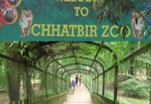 Forest & Wildlife Preservation Department puts in place special arrangements at Chhatbir Zoo for protecting animals from winter