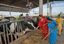 ਪੰਜਾਬ ਸਰਕਾਰ ਵੱਲੋਂ ਸਹਿਕਾਰੀ ਖੇਤਰ ਨੂੰ ਵੱਡਾ ਹੁਲਾਰਾ