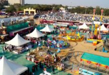 पार्टनर कंट्री मिस्र के जूट से बने हैंडमेड बैग्स बने पर्यटकों की पहली पसंद