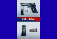 जबरन वसूली से संबंधित गोलीबारी की घटनाओं में शामिल दो बी.के.आई. कारकुन जालंधर से गिरफ्तार; पिस्तौल बरामद