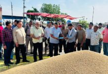 ਸ਼੍ਰੀ ਲਾਲ ਚੰਦ ਕਟਾਰੂਚੱਕ ਕੈਬਨਿਟ ਮੰਤਰੀ ਪੰਜਾਬ ਨੇ ਸਰਨਾ ਦਾਨਾ ਮੰਡੀ (ਰਾਜਨ ਦੀ ਮੰਡੀ )ਵਿਖੇ ਕਣਕ ਦੀ ਖਰੀਦ ਕਰਵਾਈ ਸ਼ੁਰੂ