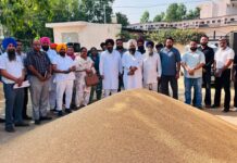 ਮੰਡੀਆਂ ਵਿੱਚ ਸੁਵਿਧਾਵਾਂ ਅਤੇ ਖਰੀਦ ਪ੍ਰਬੰਧਾਂ ਦਾ ਜਾਇਜ਼ਾ ਲੈਣ ਪਹੁੰਚੇ ਡਿਪਟੀ ਸਪੀਕਰ ਰੌੜੀ