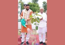 Chief Minister Appeals to Citizens to Plant at Least One Tree on World Environment Day